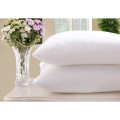 White Goose Down Pillow for Hotel